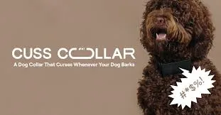 Cuss Collar