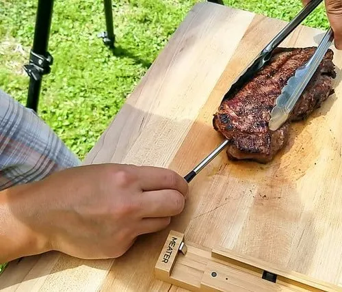 Wireless Smart Meat Thermometer