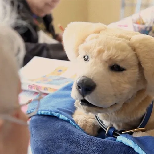 Tombot - The World's Most Realistic Robotic Dog