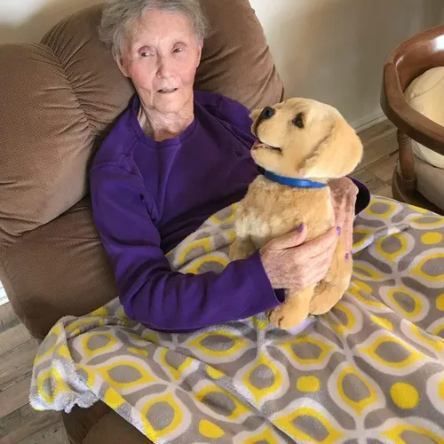 Tombot - The World's Most Realistic Robotic Dog