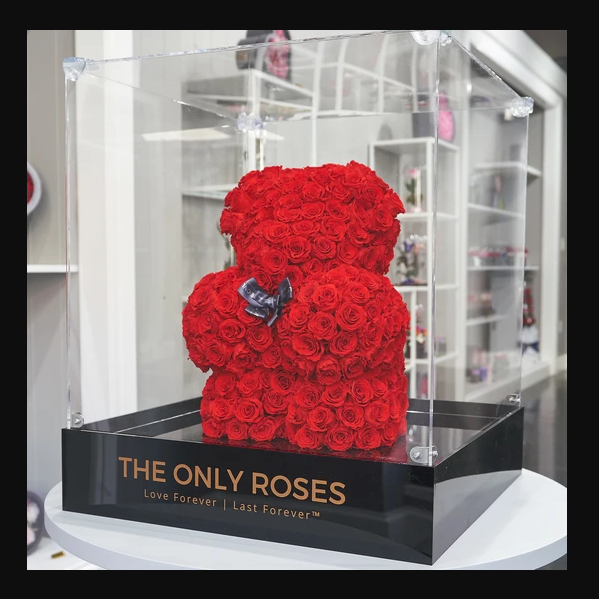 15 Inches Preserved Roses Teddy Bear