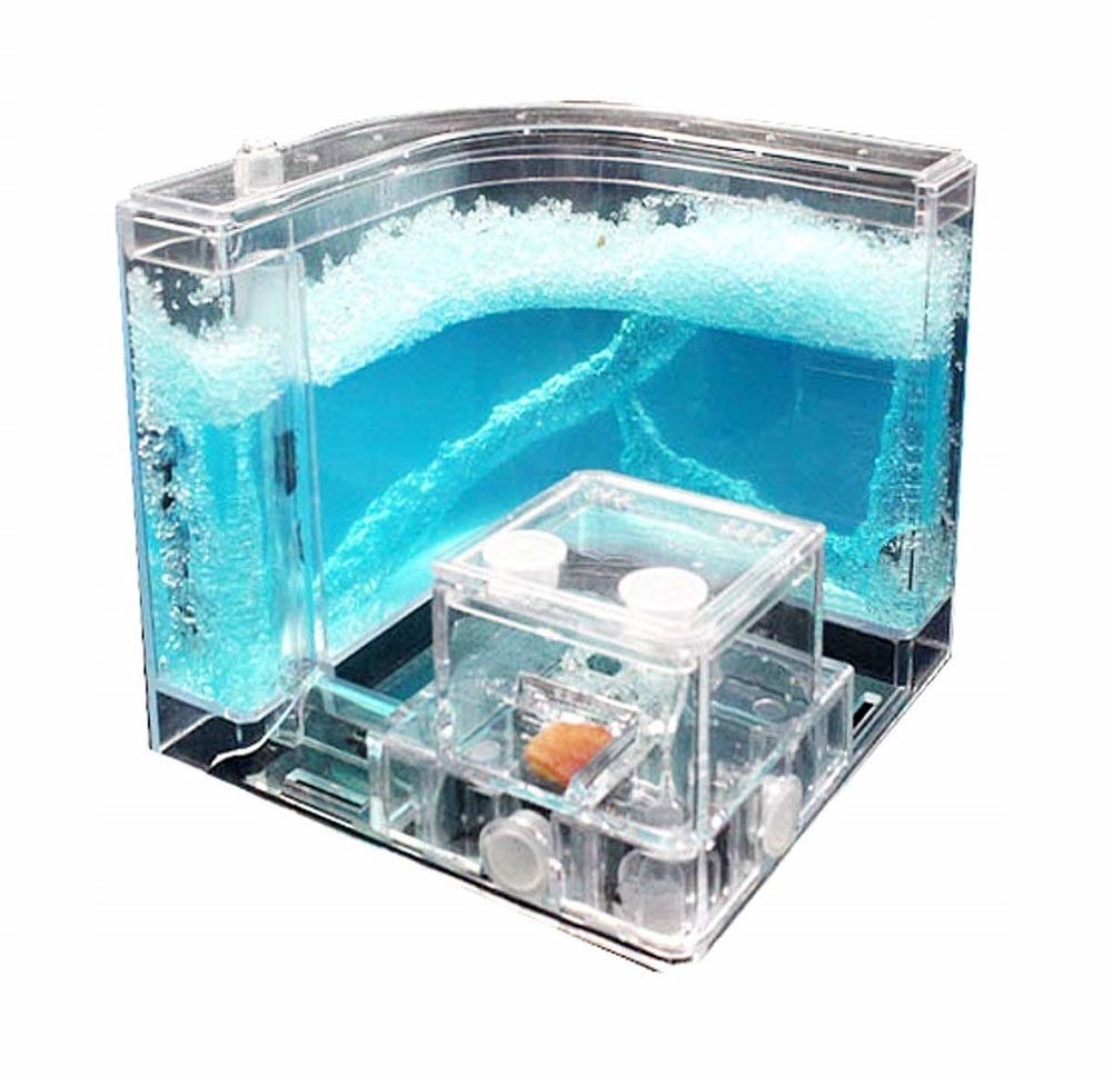 Ant Farm Castle