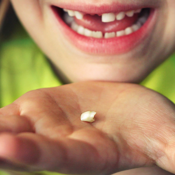 Tooth Fairy Bundle