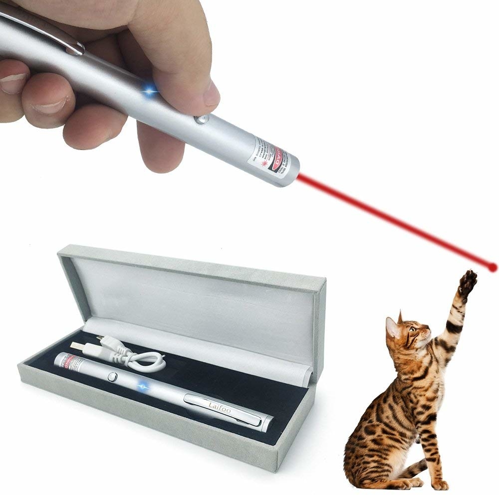 Cat Laser Pointer