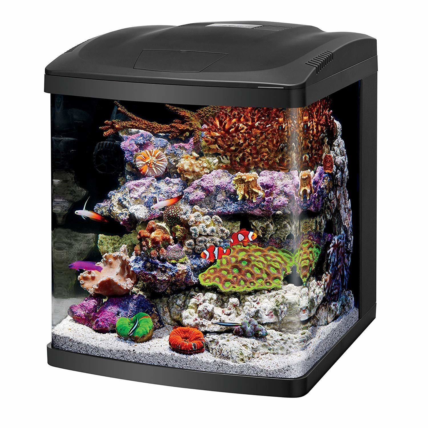 Coralife Reef Aquarium