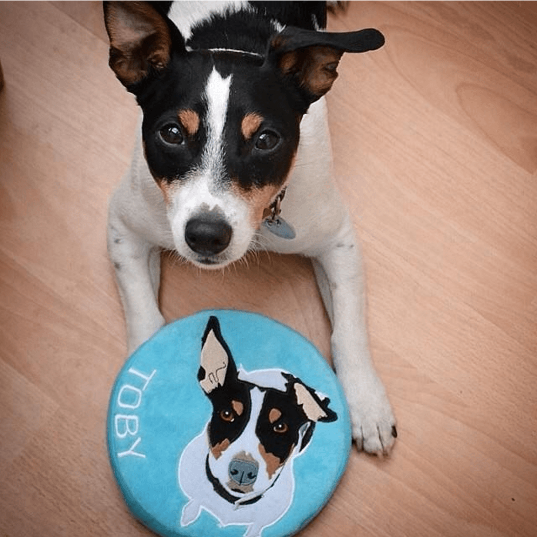 Custom Frisbee Toy