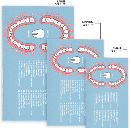 Dentist Tooth Chart Area Rug