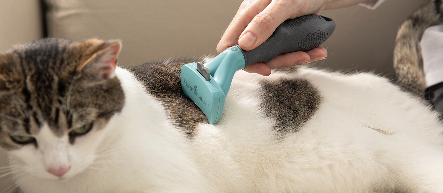 Deshedding Tool for Cats