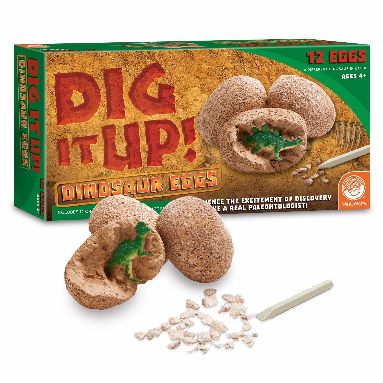 Dig It Up! Dinosaur Eggs