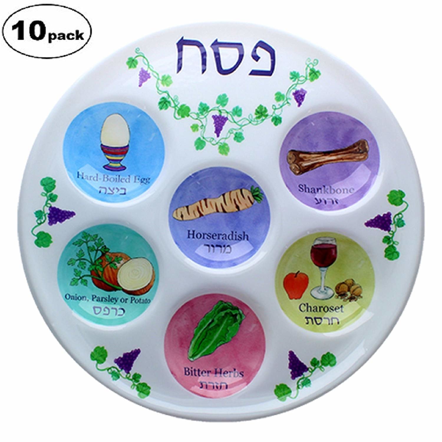 Disposable Plastic Seder Plate for Passover 