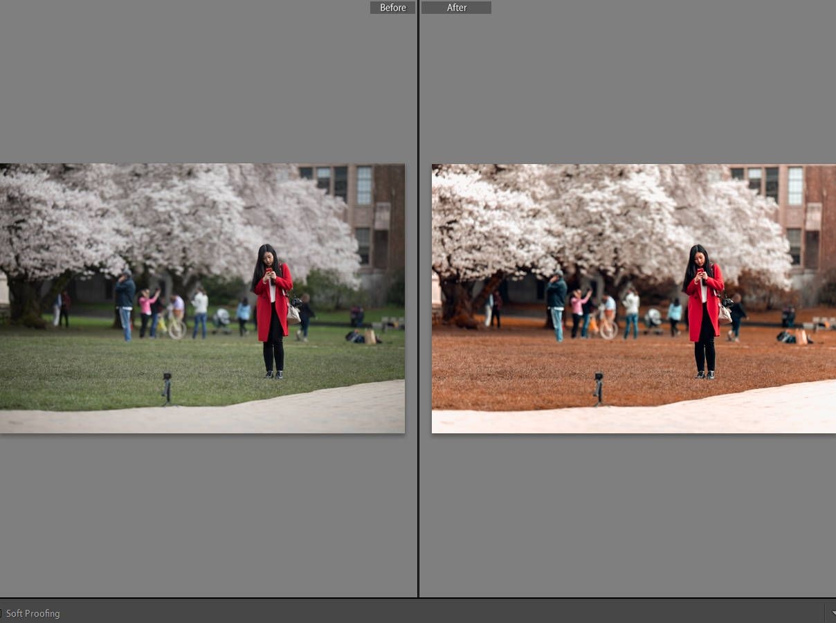 Filter Grade Lightroom Presets