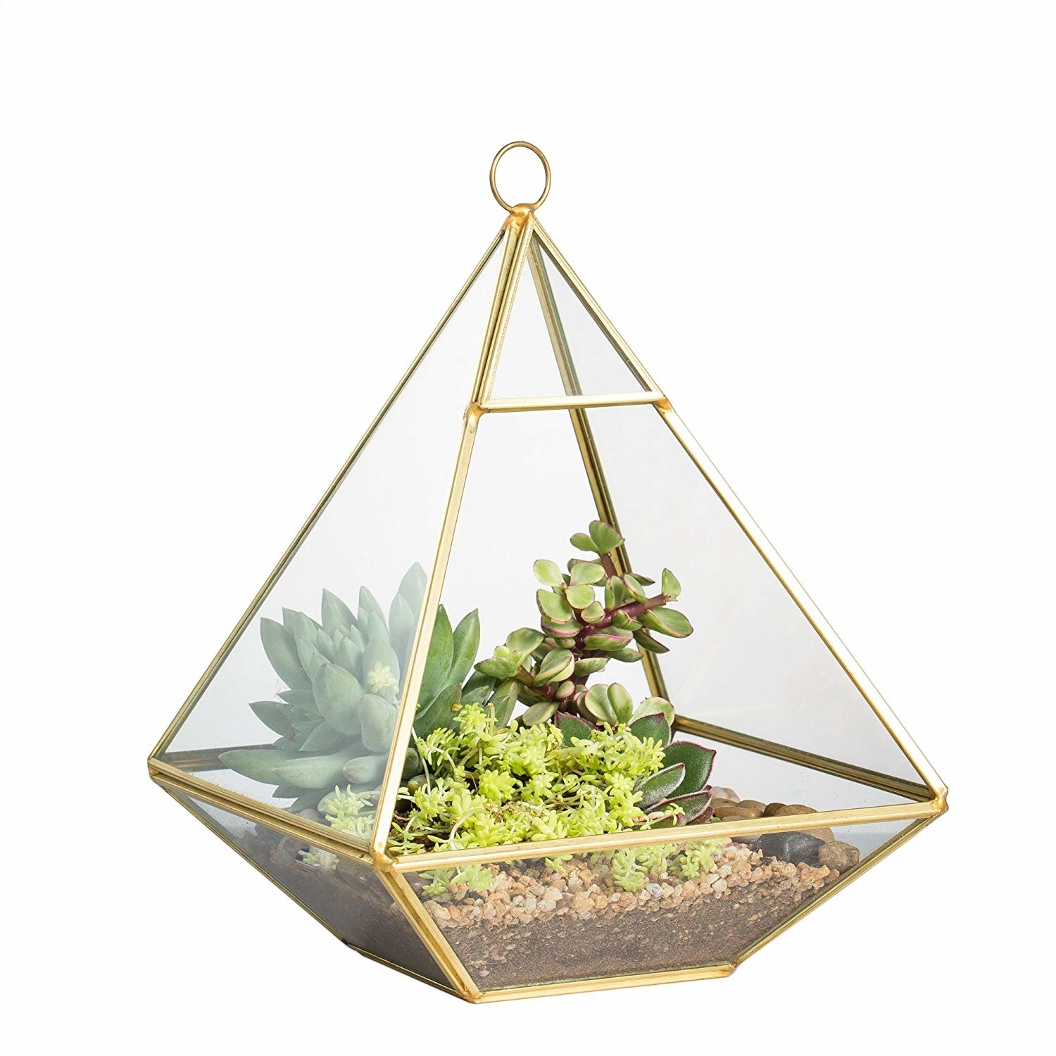 Geometric Wall Hanging Terrarium