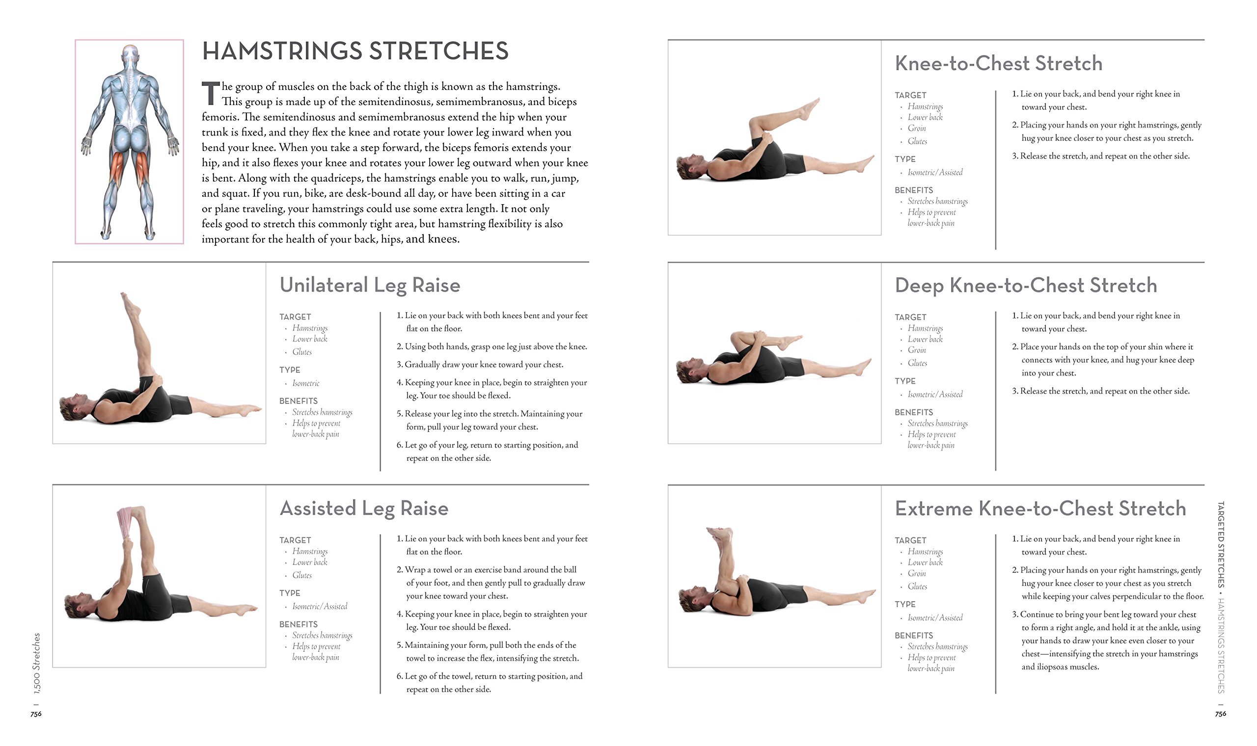 1,500 Stretches: The Complete Guide to Flexibility and Movement