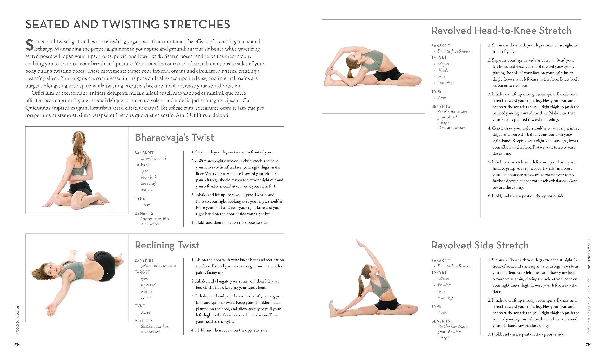 1,500 Stretches: The Complete Guide to Flexibility and Movement