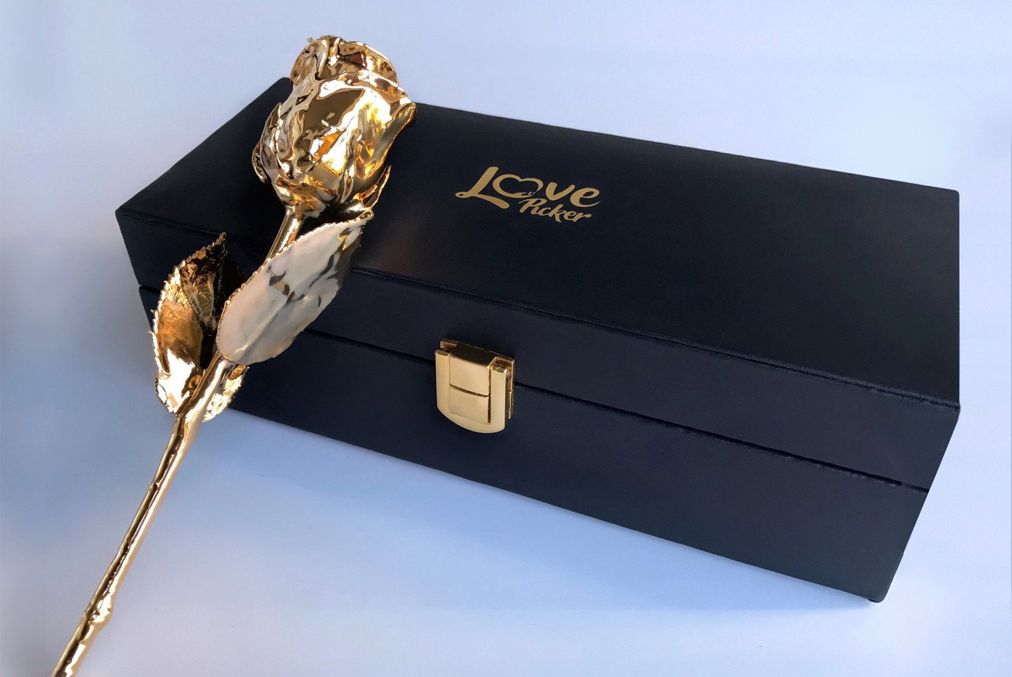 24 Karat Gold-Dipped Natural Rose