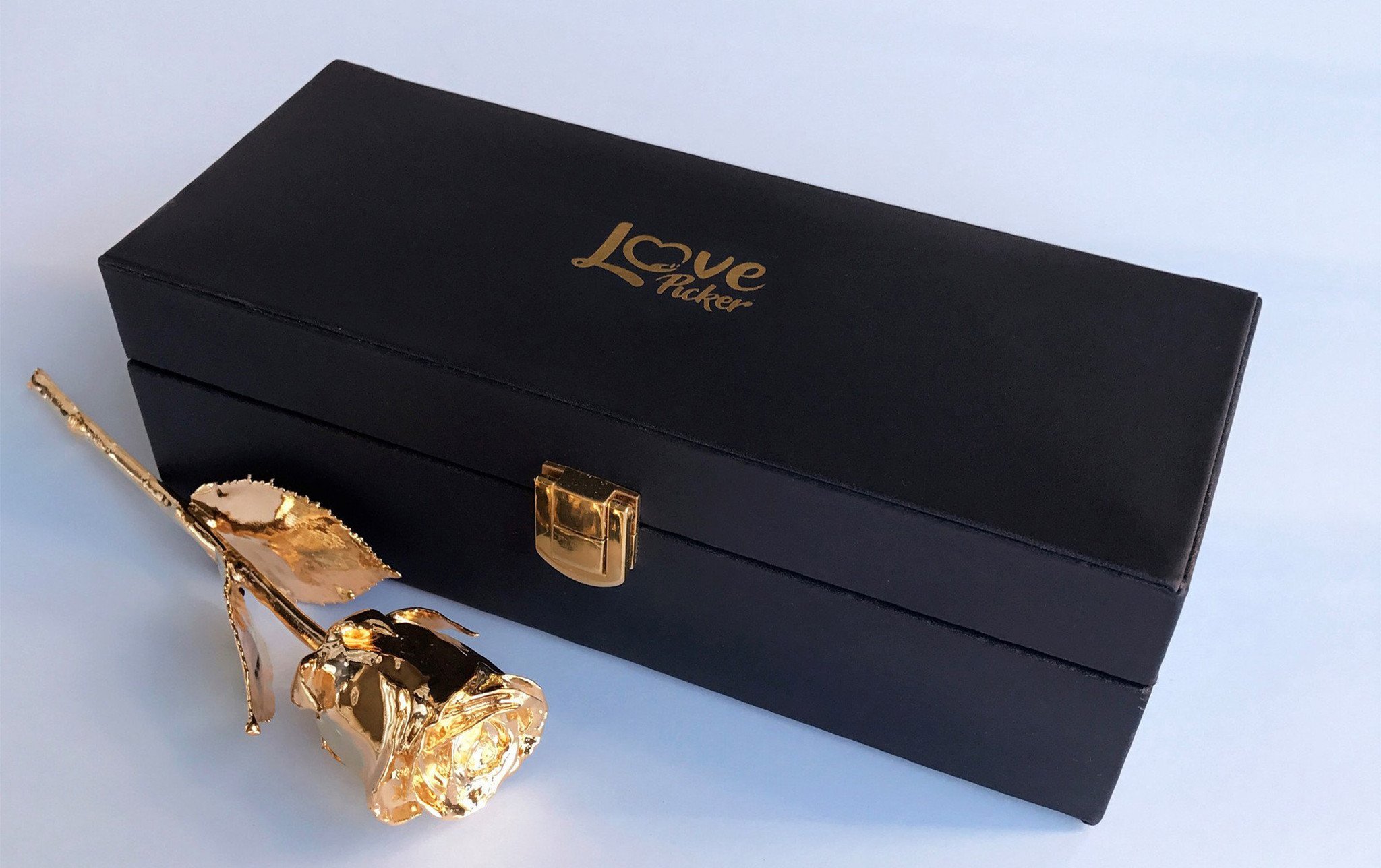 24 Karat Gold-Dipped Natural Rose