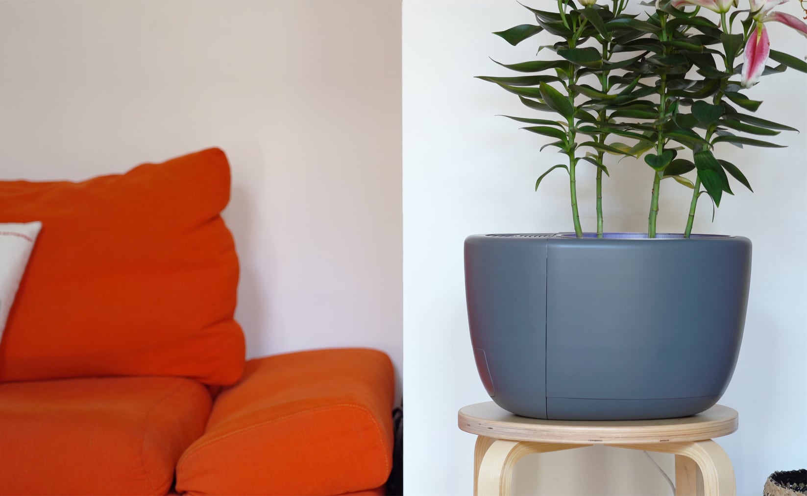3-in-1 Eco Air Purifier, Dehumidifier, and Self-watering Smart Plant