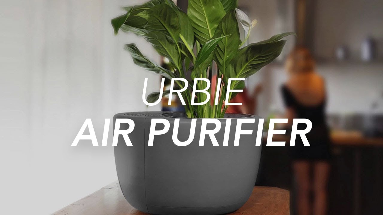 3-in-1 Eco Air Purifier, Dehumidifier, and Self-watering Smart Plant