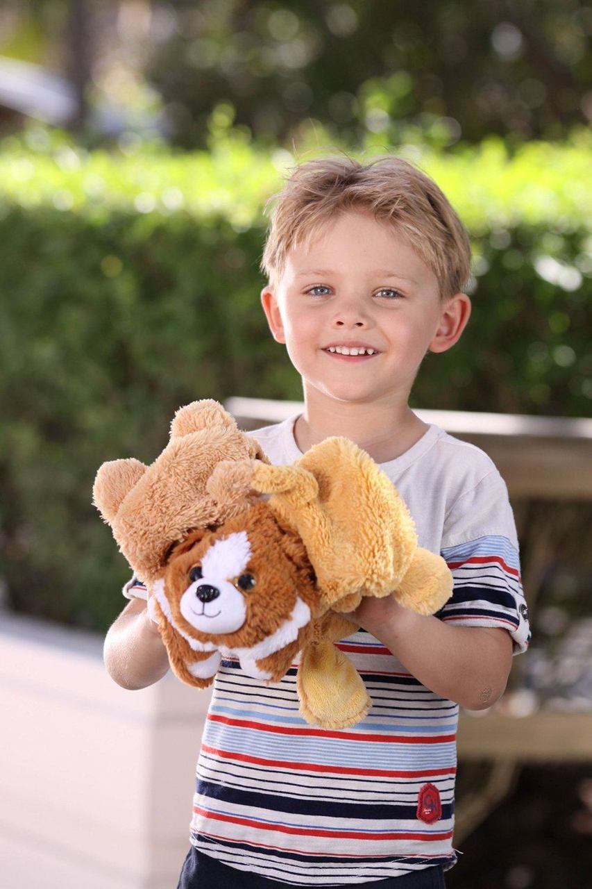 3-Toys-In-1 Pop Out Plush Pets