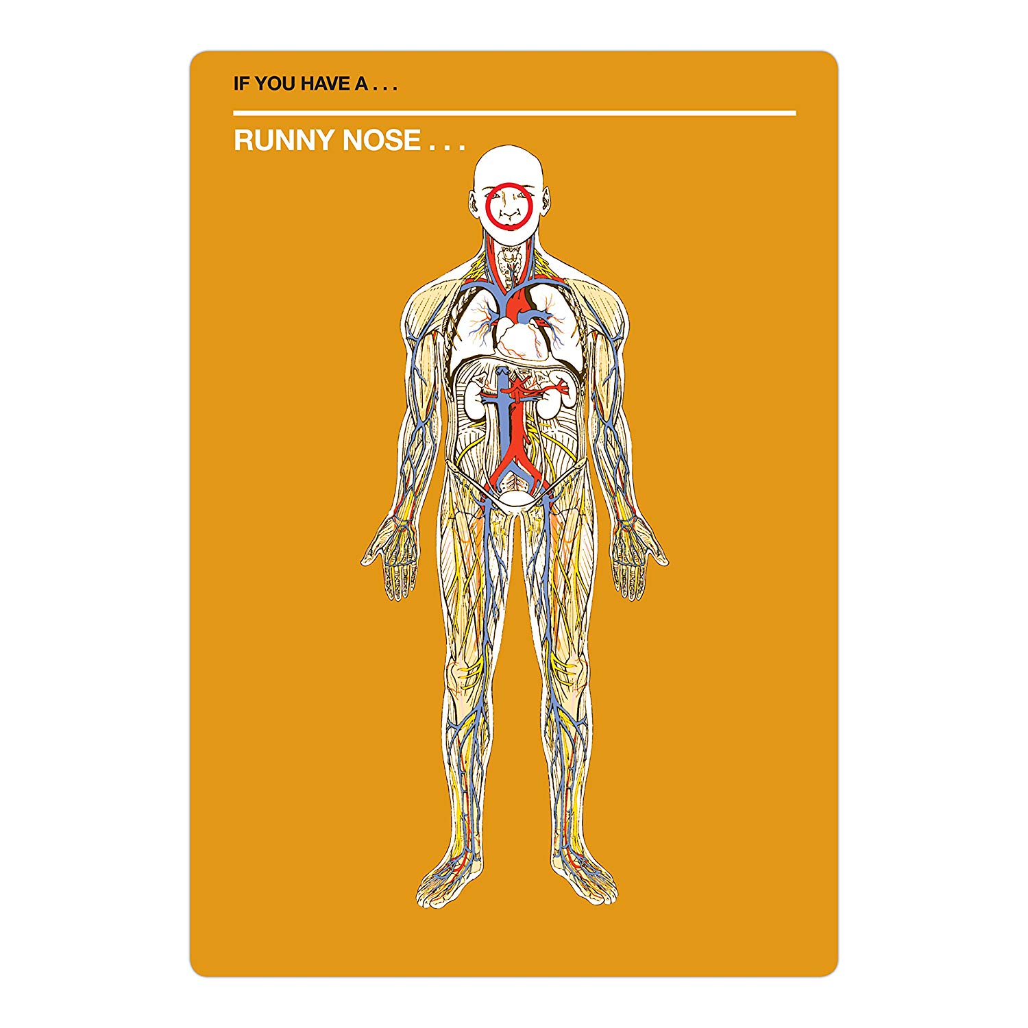 50 Things that Might Kill You: Self-Diagnosis Card Deck for Hypochondriacs