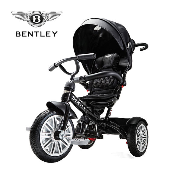 6-in-1 Tricycle / Stroller