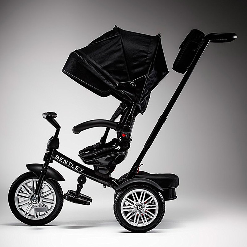 6-in-1 Tricycle / Stroller