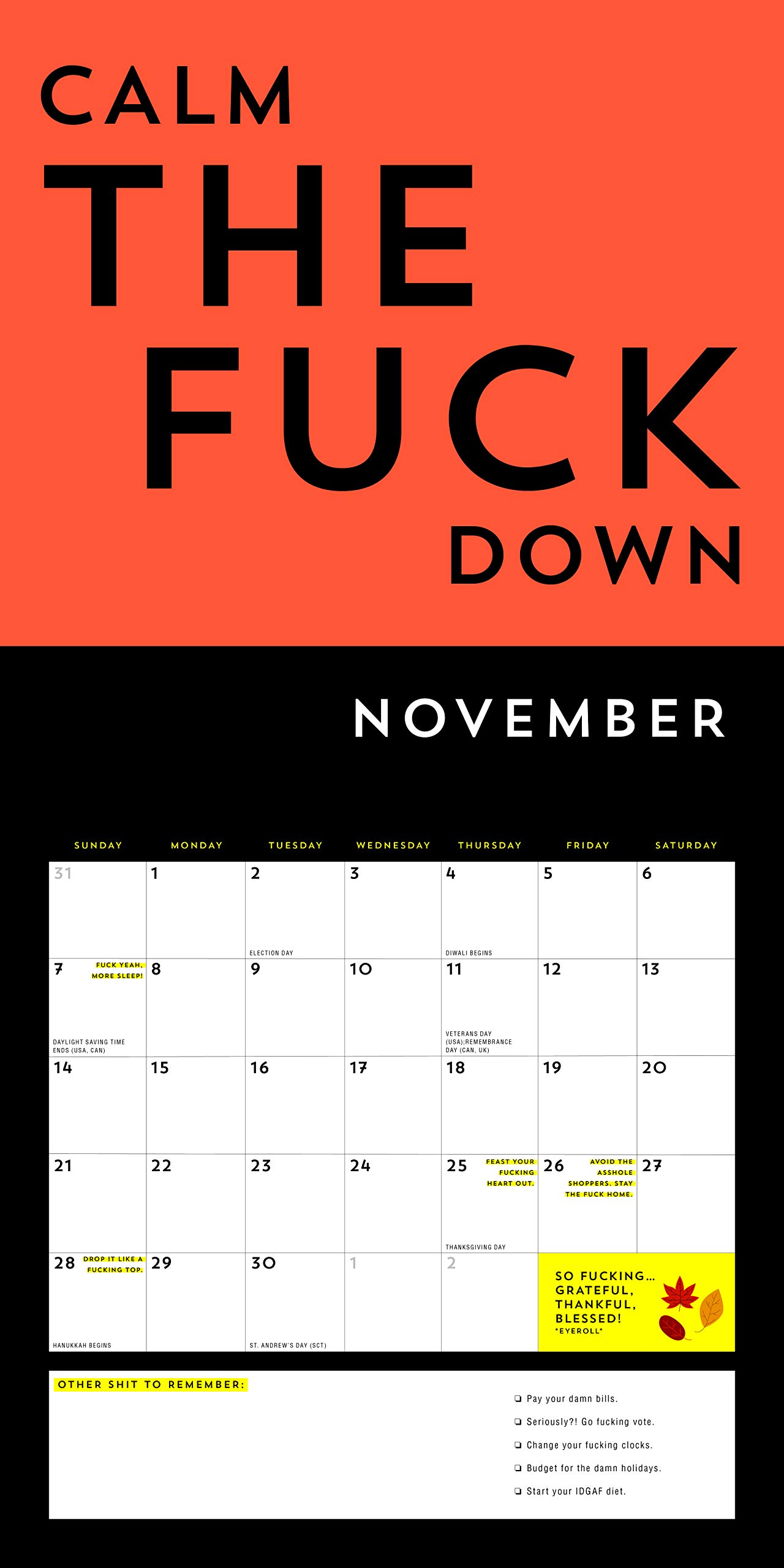 A F*cking 2021 Calendar: Get Your Sh*t Together This Year