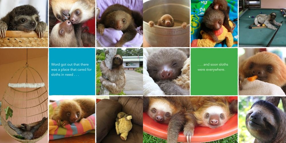A Little Book of Sloth
