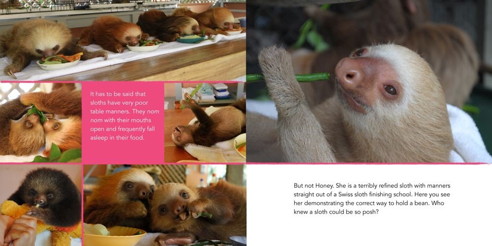 A Little Book of Sloth