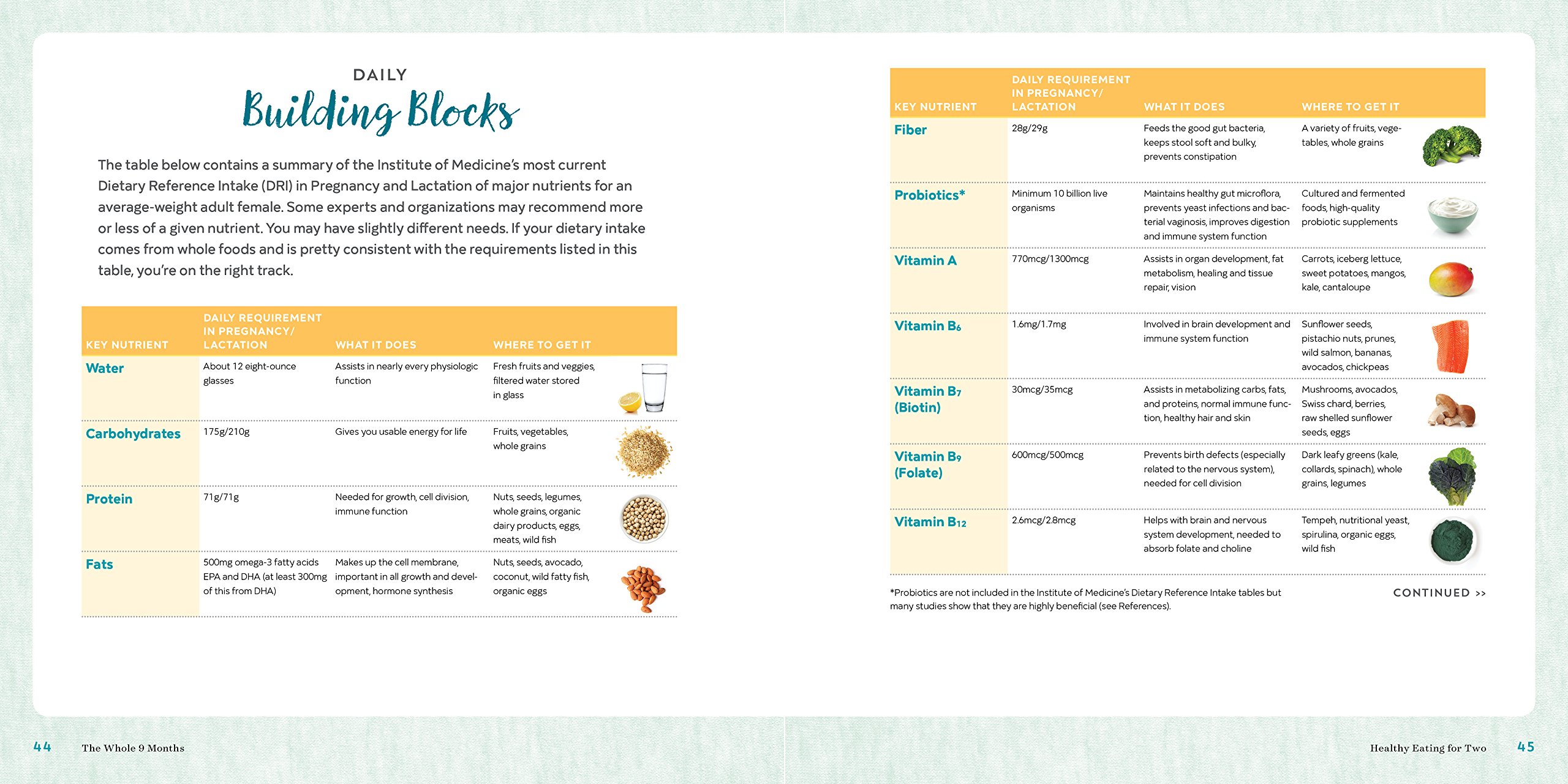 A Week-By-Week Pregnancy Nutrition Guide