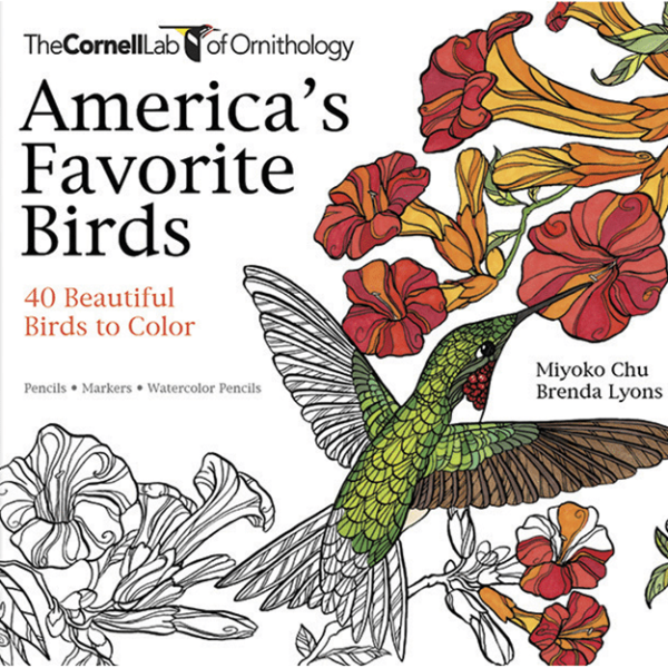 American Birds Coloring Book