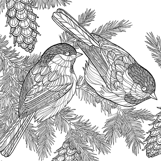 American Birds Coloring Book