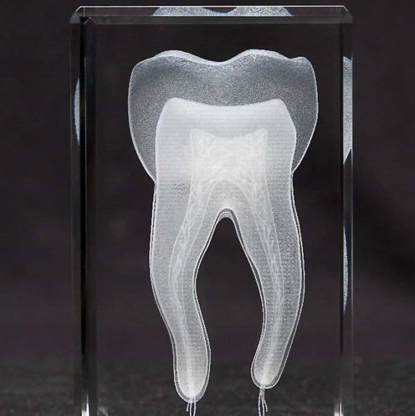 Anatomy Crystal Tooth