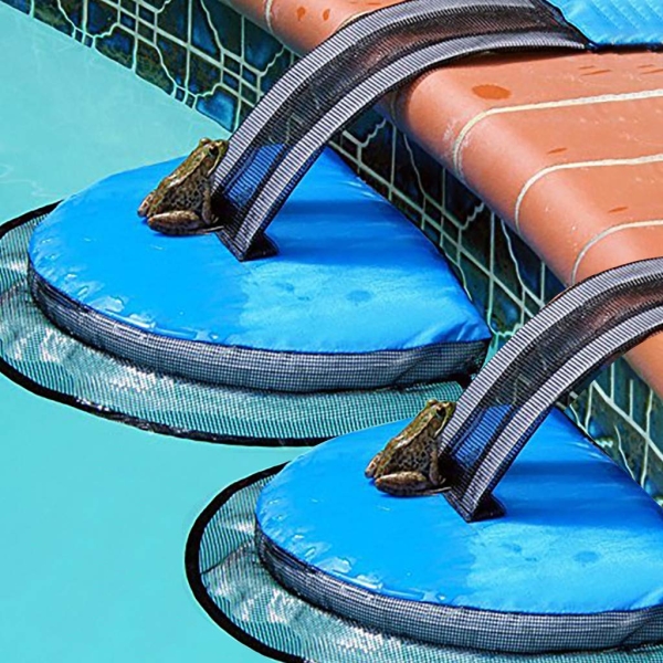 Animal Saving Escape Ramp for Pool