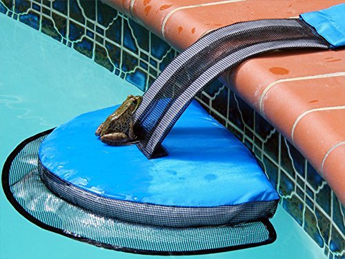 Animal Saving Escape Ramp for Pool