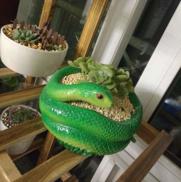 Animal Shaped Succulent Flower Pot