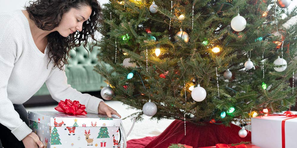 Automatic Christmas Tree Watering System