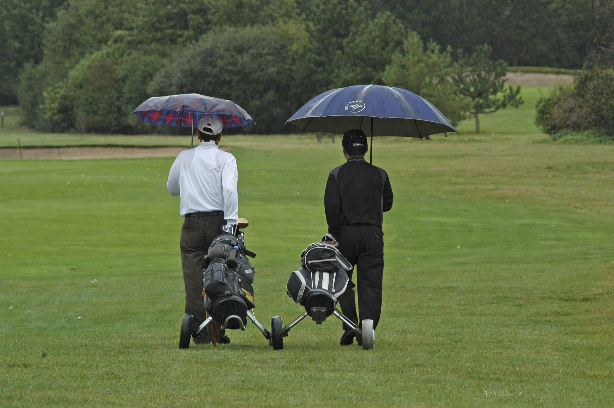 Automatic Open Golf Umbrella