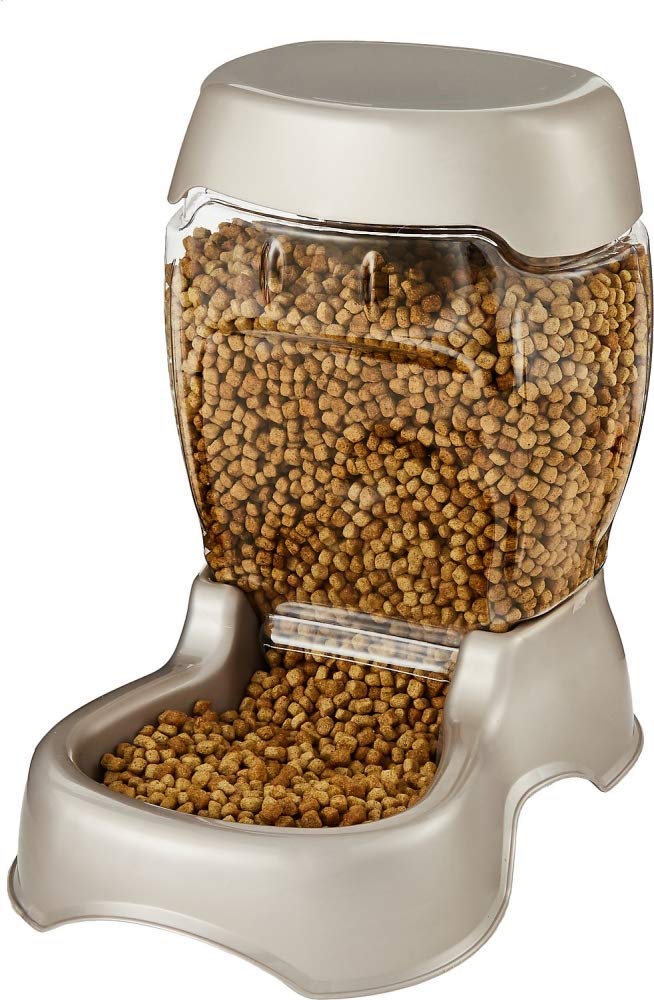 Automatic Pet Feeder