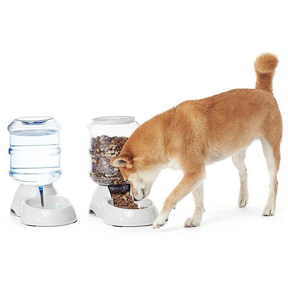 Automatic Pet Feeder