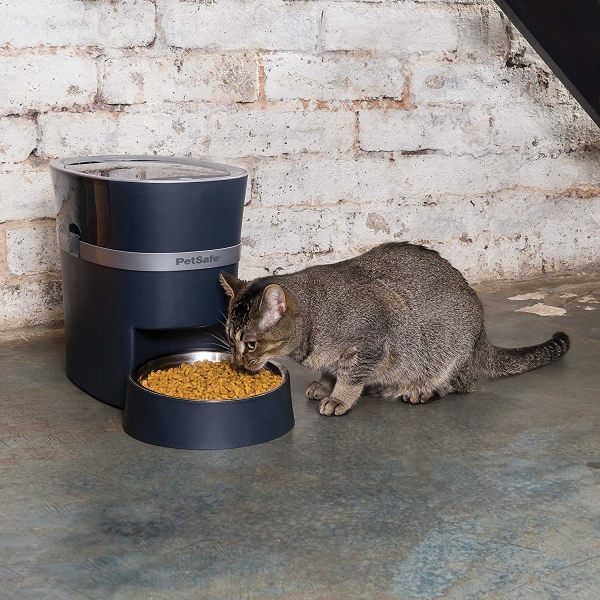 Automatic Pet Feeder