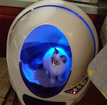 Automatic Self-Cleaning Litter Box For Cats