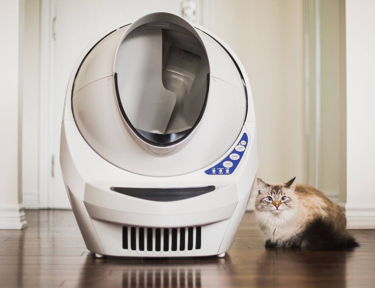 Automatic Self-Cleaning Litter Box For Cats