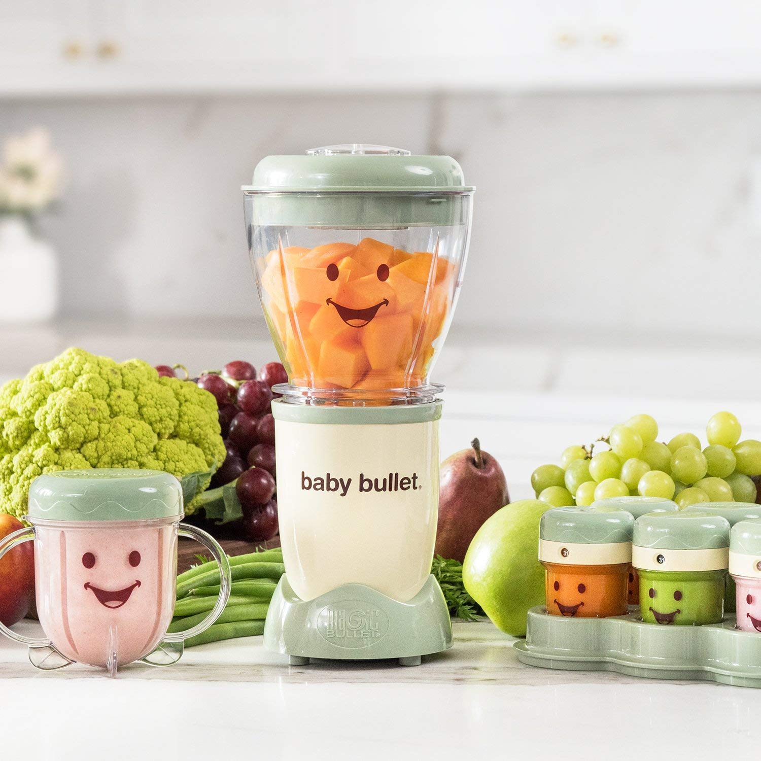 Baby Food Care System