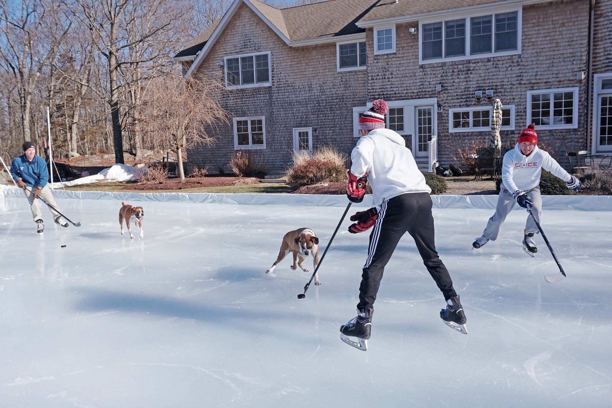 Backyard Skating Rink in 60 Minutes