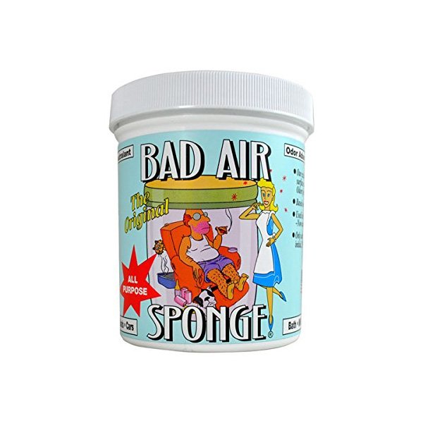 Bad Air Sponge Absorbent