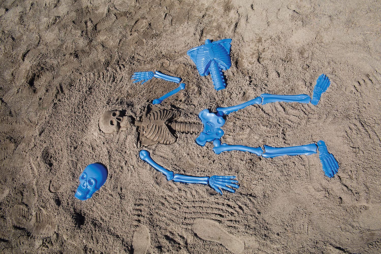 Bag O' Bones Beach Skeleton