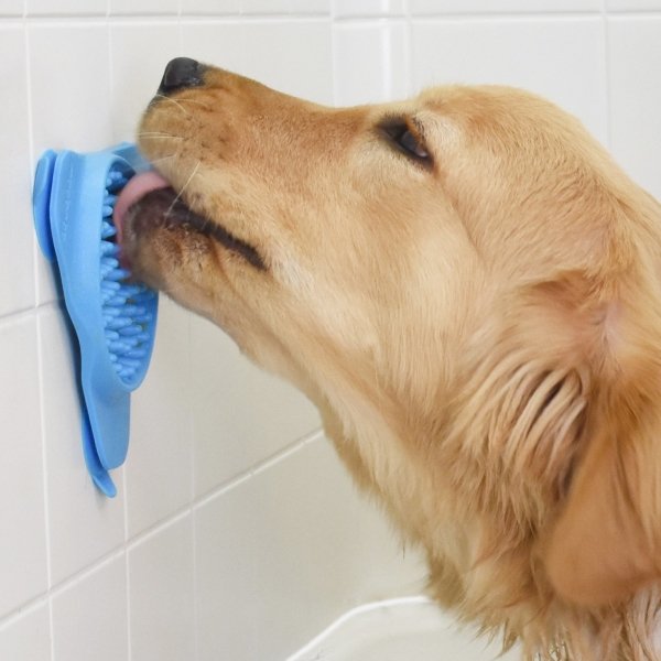 Bathroom Dog Treat to Help With Bathing