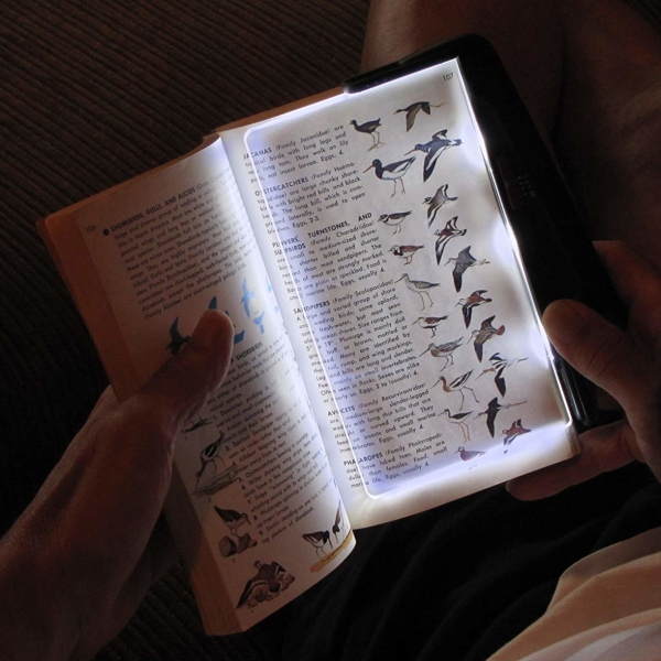 Battery Powered LED Reading Lights