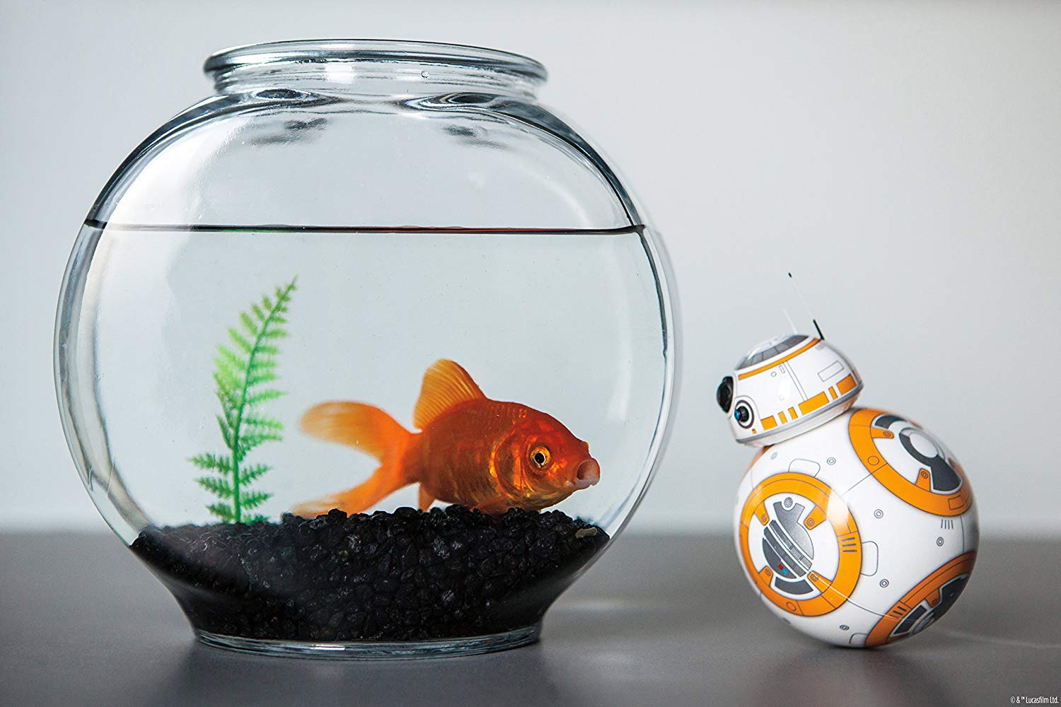 BB-8 Smartphone Controlled Droid